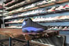 AIR JORDAN XIII (13) "BLK/HYPER ROYAL"