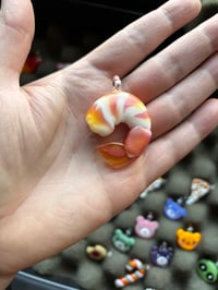 Image 1 of Tigger shrimp ! 