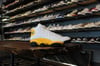 AIR JORDAN XIII (13) "DEL SOL"