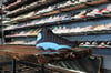 AIR JORDAN XIII (13) "CPE PE"