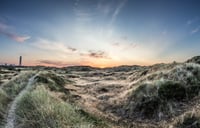 LÆRREDSPRINT - BLÅVAND - 120*80CM