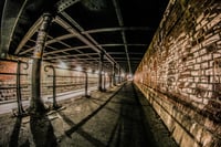 LÆRREDSPRINT - VIADUKTEN - 120*80CM