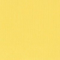 Sunbeam Mono 12" x 12" Cardstock