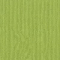 Parakeet Mono 12" x 12" Cardstock