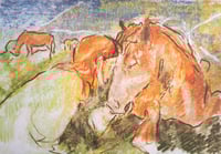 Image 1 of A Softening Presence A4 Risograph Print