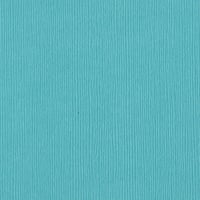 Fiji Fourz 12" x 12" Cardstock
