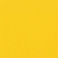 Mexican Poppy Fourz 12" x 12" Cardstock