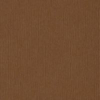 Cinnamon Stick Fourz 12" x 12" Cardstock