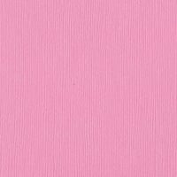 Fussy Fourz 12" x 12" Cardstock