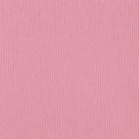 Piglet Fourz 12" x 12" Cardstock