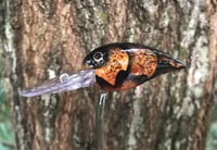 Image 1 of SPEEDBAITS Custom Airbrushed RAPALA WIGGLE WART CLONE GT CRAW