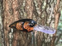 Image 2 of SPEEDBAITS Custom Airbrushed RAPALA WIGGLE WART CLONE GT CRAW