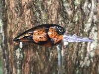 Image 3 of SPEEDBAITS Custom Airbrushed RAPALA WIGGLE WART CLONE GT CRAW