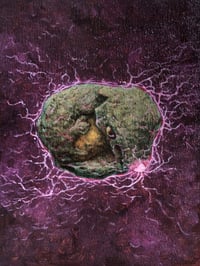 Image 1 of 2025 Version VII