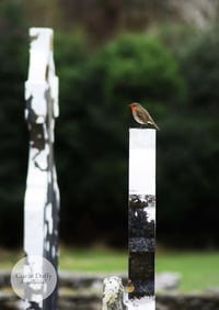 Image 1 of Robin's Rest - a4 Print.