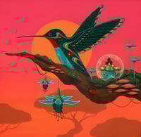 "Hummingbird 64" Print