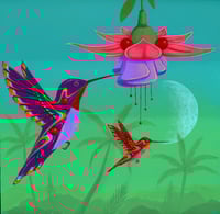 Hummingbird 66