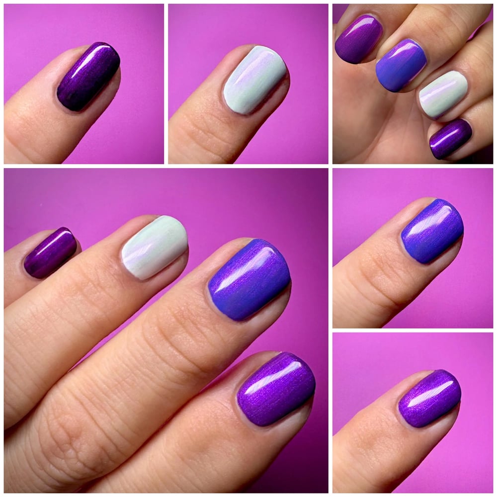 Image of The Auras Collection
