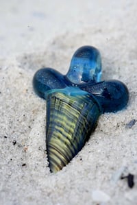 Image 3 of Blue stardust and sea slyme over electrum glass shark tooth pendant 🦈