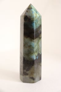Image 2 of Laboradite Tower 