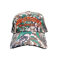 Camo Classic Logo Hat 