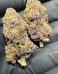 Image 2 of Petrol Pie THCA Flower