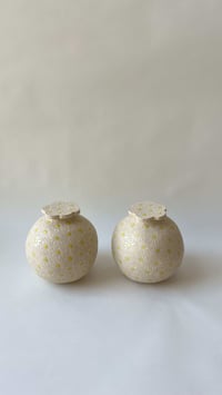 Image 1 of Daisy Moon vase- S