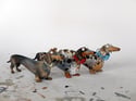 Dachshund, cartoon style figure (Custom Paintwork)