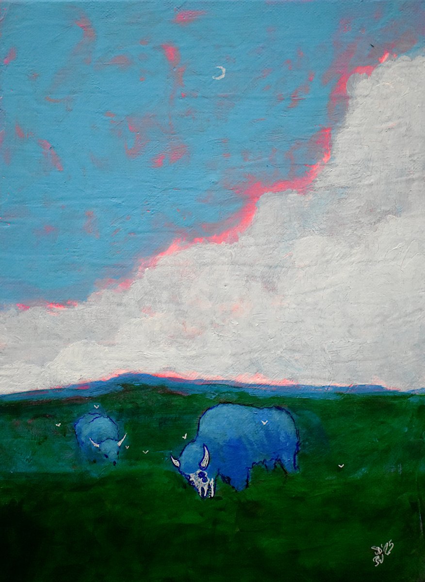 BISON-GRAZE