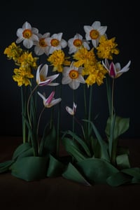 The Generous Garden