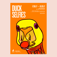 Duck Selfies : A3 Poster