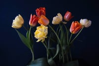 Still Life with Tulips no. 3