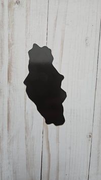 Image 2 of MAGNET Rainbow Mothman