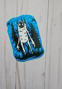 Image 1 of MAGNET Yeti