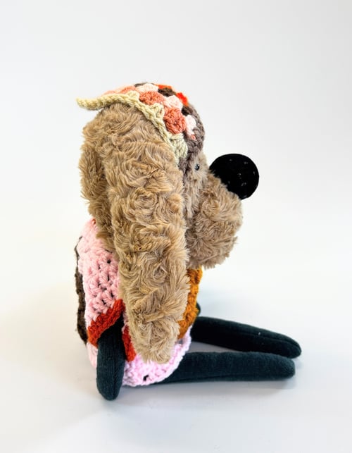 Image of Thea the fortune telling dog