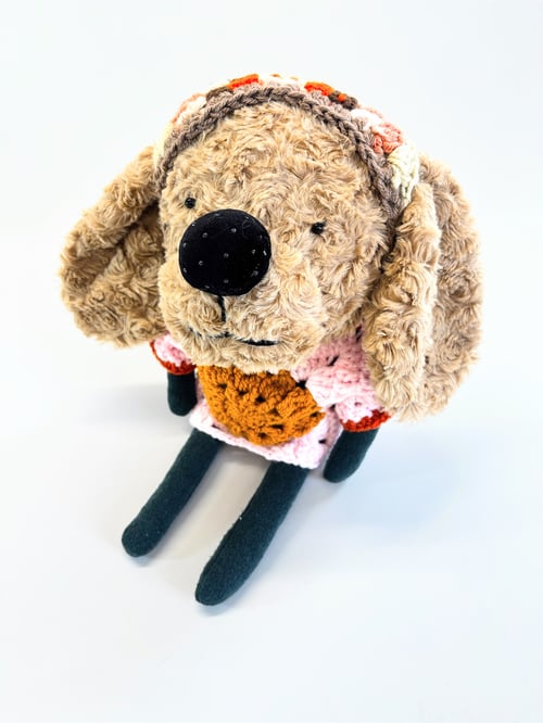 Image of Thea the fortune telling dog