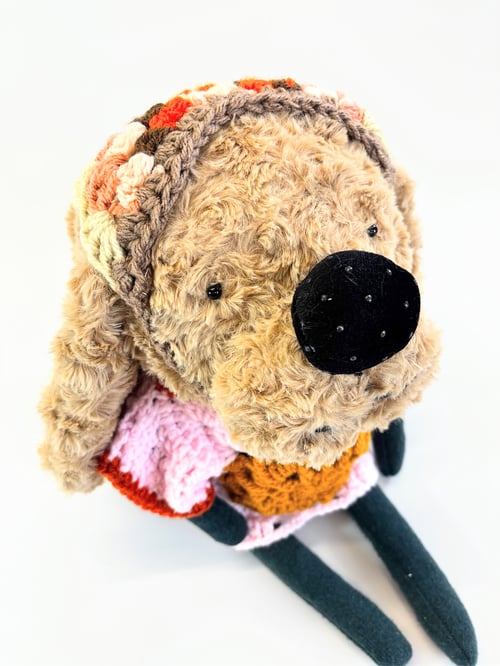 Image of Thea the fortune telling dog