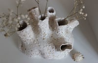 Image 1 of Vase Coral ceramic alternate