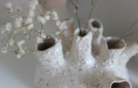 Image 2 of Vase Coral ceramic alternate