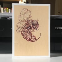 Image 2 of Wasp