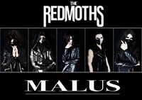 MALUS POSTER BLACK EDITION //LIMITED EDITION//
