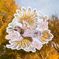 Image 1 of northern flicker sticker