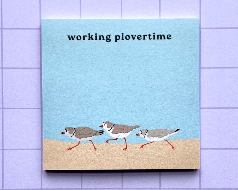 Image of Working plovertime piping plover sticky notes