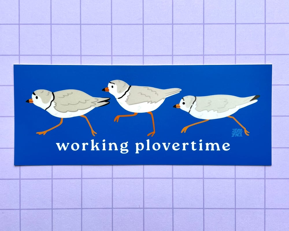 Image of Working plovertime piping plover bumper sticker