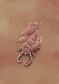 Image 1 of Mite
