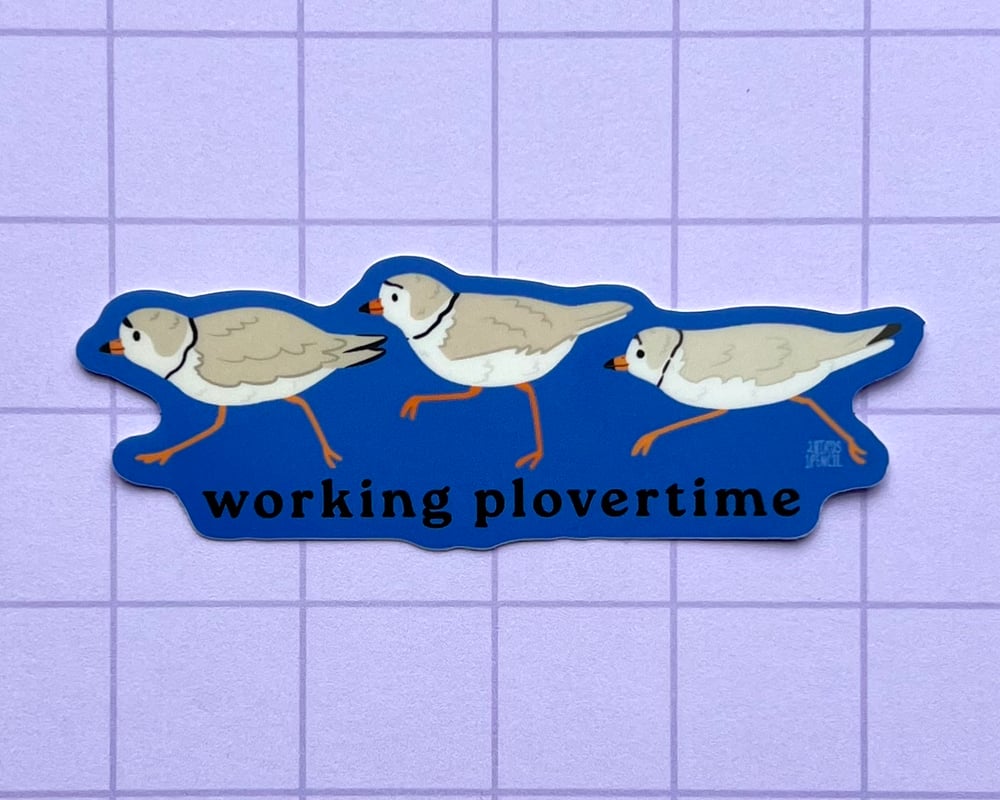 Image of Working plovertime piping plover vinyl sticker