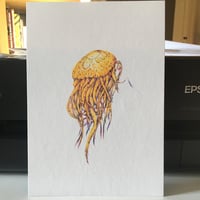 Image 2 of Yellow Jelly