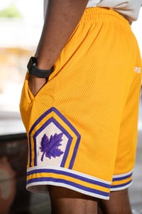 Image 2 of Lakeshore Living Ball Shorts