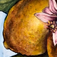 Image 2 of Lemons, Eco Bamboo Fine Art Print