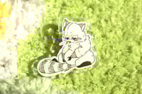 Doodle Racoon - Acrylic Pin